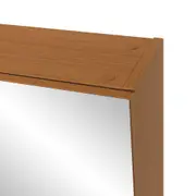 ARMÁRIO COM ESPELHO 1 PORTA 58 CM X 72 CM HIDRIX - FREIJÓ/PRATA - Foto 6