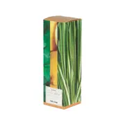 HOME SPRAY HORTELÃ, CAPIM SANTO E LIMÃO SICILIANO 200 ML BROMÉLIA - BEGE/MULTICOR - Foto 3