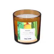VELA PERFUMADA POTE HORTELÃ, CAPIM SANTO E LIMÃO SICILIANO BROMÉLIA - HANBAR/BEGE - Foto 1