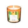 VELA PERFUMADA POTE HORTELÃ, CAPIM SANTO E LIMÃO SICILIANO BROMÉLIA - HANBAR/BEGE - Foto 2