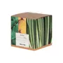 VELA PERFUMADA POTE HORTELÃ, CAPIM SANTO E LIMÃO SICILIANO BROMÉLIA - HANBAR/BEGE - Foto 3
