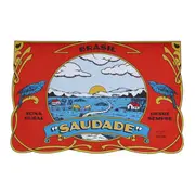 LUGAR AMERICANO 43 CM X 29 CM MEMÓRIA INTERIOR - VERMELHO/AZUL - Foto 1