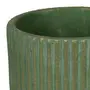 CACHEPÔ 15 CM RIPSÁLIS - SÁLVIA - Foto 2
