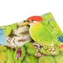 LIVRO O COELHO ENGRAÇADO - MULTICOR - Foto 4