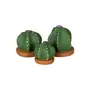 ADORNO MESA COROA DE FRADE COM 3 CACTOS - VERDE/TERRACOTA - Foto 1