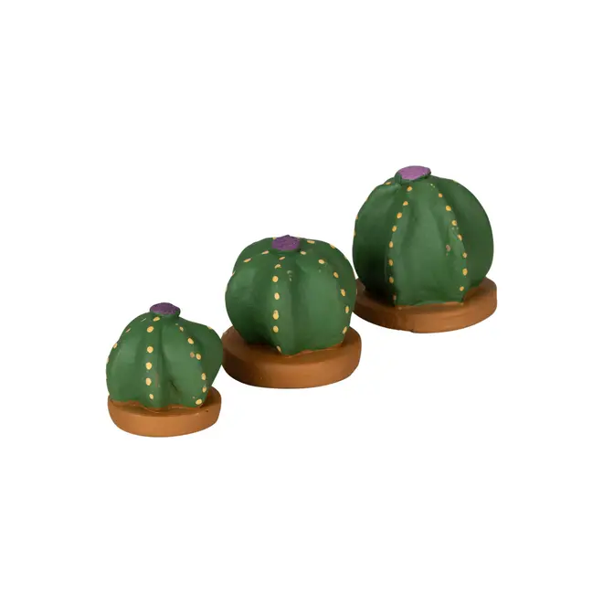 ADORNO MESA COROA DE FRADE COM 3 CACTOS - VERDE/TERRACOTA - Foto 2