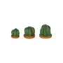 ADORNO MESA COROA DE FRADE COM 3 CACTOS - VERDE/TERRACOTA - Foto 3