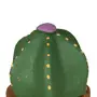 ADORNO MESA COROA DE FRADE COM 3 CACTOS - VERDE/TERRACOTA - Foto 4