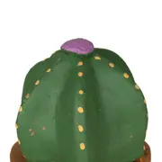 ADORNO MESA COROA DE FRADE COM 3 CACTOS - VERDE/TERRACOTA - Foto 4