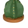 ADORNO MESA COROA DE FRADE COM 3 CACTOS - VERDE/TERRACOTA - Foto 5