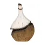 VASO GARRAFA DECORATIVO 20 CM BAÍA - PAULOWNIA/BRANCO - Foto 4