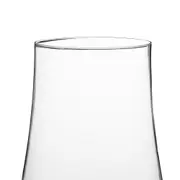 TAÇA BORDEAUX 560 ML HAILLAN TITAN - INCOLOR - Foto 2