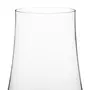 TAÇA DE ÁGUA VINHO 360 ML HAILLAN TITAN - INCOLOR - Foto 2