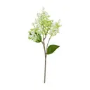 FLOR AMARILIS JOLIE