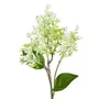 FLOR AMARILIS JOLIE - BRANCO/VERDE - Foto 2