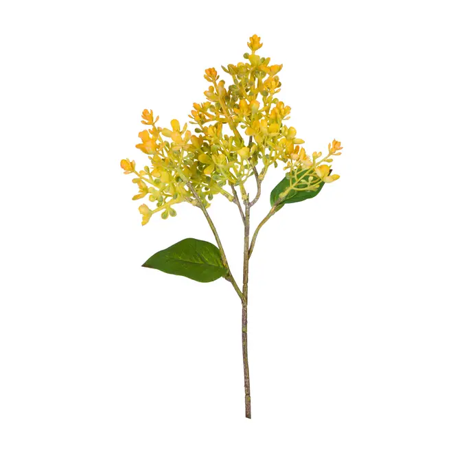 FLOR AMARILIS JOLIE - AMARELO/VERDE - Foto 1