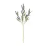 FLOR GIVERNY LAVANDA - MALVA/VERDE - Foto 1