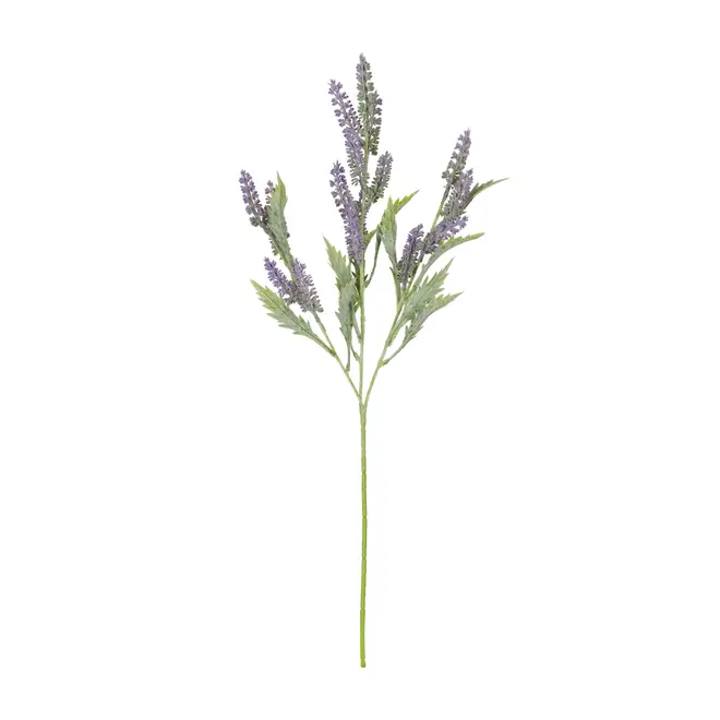 FLOR GIVERNY LAVANDA - MALVA/VERDE - Foto 1