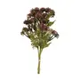 BOUQUET LISSE DENTE DE LEÃO - AMEIXA SECA/VERDE - Foto 1