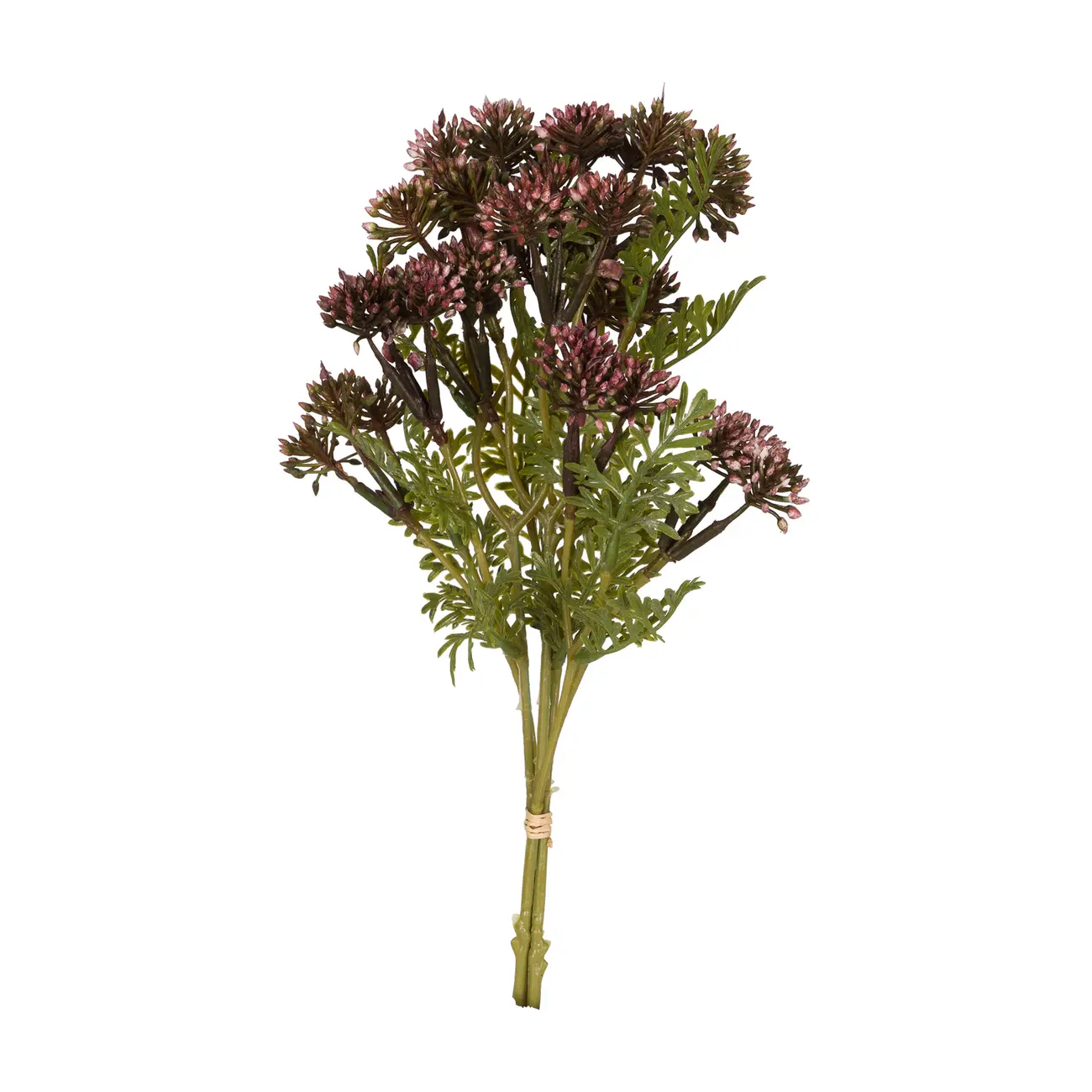 BOUQUET LISSE DENTE DE LEÃO - AMEIXA SECA/VERDE - Foto 1