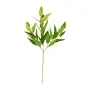 FOLHAGEM EUCALIPTO ACETARI - VERDE - Foto 1