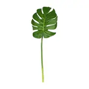 COSTELA DE ADÃO OÁSIS - VERDE - Foto 1