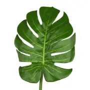 COSTELA DE ADÃO OÁSIS - VERDE - Foto 2