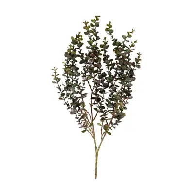 FOLHAGEM CHIANTI EUCALIPTO