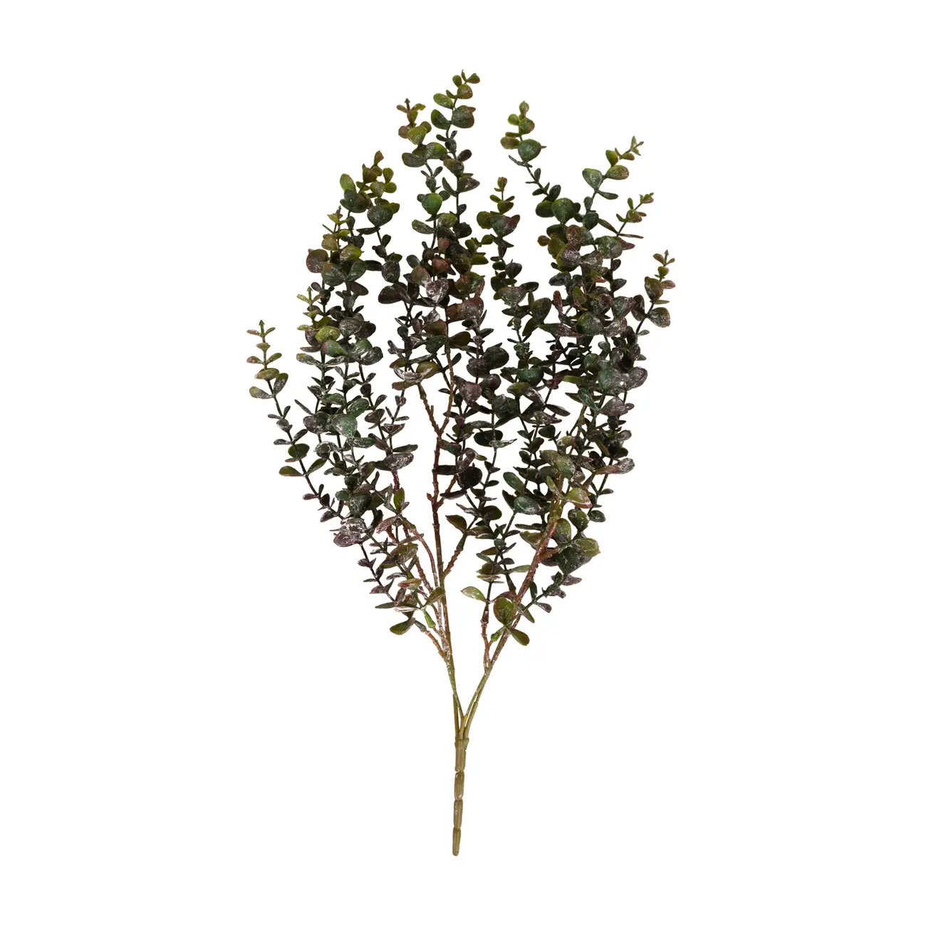 FOLHAGEM CHIANTI EUCALIPTO - VERDE - Foto 1
