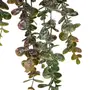FOLHAGEM CHIANTI EUCALIPTO - VERDE - Foto 3