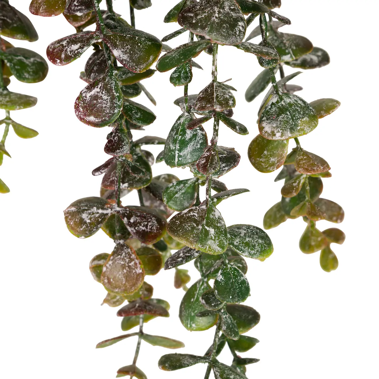 FOLHAGEM CHIANTI EUCALIPTO - VERDE - Foto 3