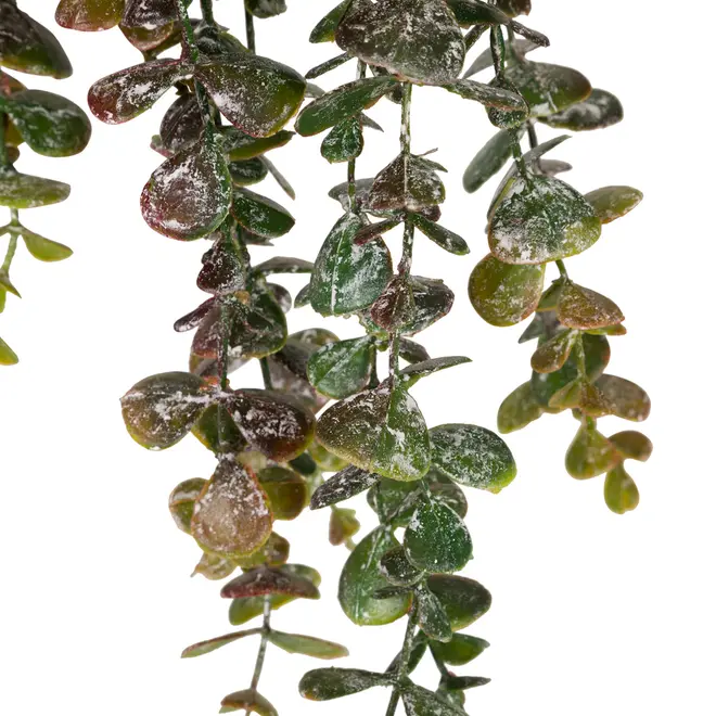 FOLHAGEM CHIANTI EUCALIPTO - VERDE - Foto 3