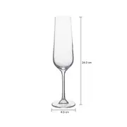 TAÇA CHAMPANHE 200 ML LIVANTI TITAN - INCOLOR - Foto 4