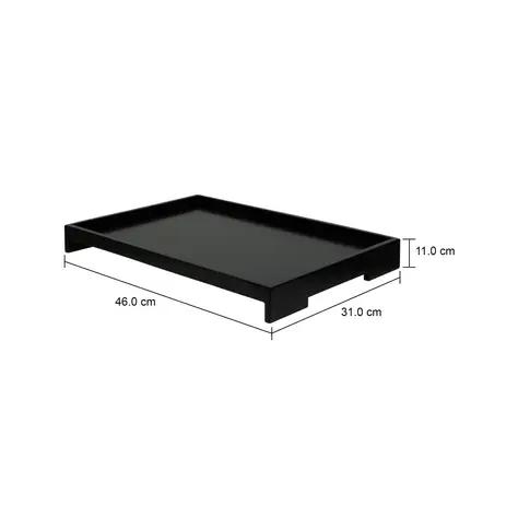 Imagem com medidas do produto BANDEJA 46 CM X 31 CM COLI
