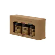 KIT AROMATIZADOR COM 3 RITUAL SPA - HANBAR/MULTICOR - Foto 3