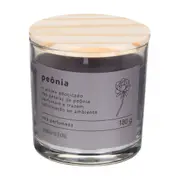 VELA PERFUMADA POTE PEÔNIA NATURALS - ARGILA/PINUS NATURAL - Foto 1