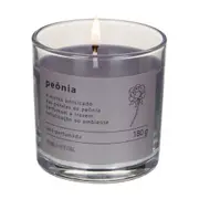 VELA PERFUMADA POTE PEÔNIA NATURALS - ARGILA/PINUS NATURAL - Foto 2
