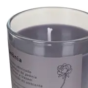VELA PERFUMADA POTE PEÔNIA NATURALS - ARGILA/PINUS NATURAL - Foto 4