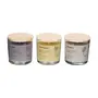 VELA PERFUMADA POTE PEÔNIA NATURALS - ARGILA/PINUS NATURAL - Foto 5