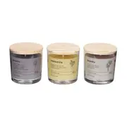 VELA PERFUMADA POTE PEÔNIA NATURALS - ARGILA/PINUS NATURAL - Foto 5