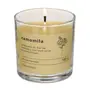 VELA PERFUMADA POTE CAMOMILA NATURALS - LATTE/PINUS NATURAL - Foto 2