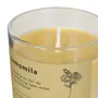 VELA PERFUMADA POTE CAMOMILA NATURALS - LATTE/PINUS NATURAL - Foto 4