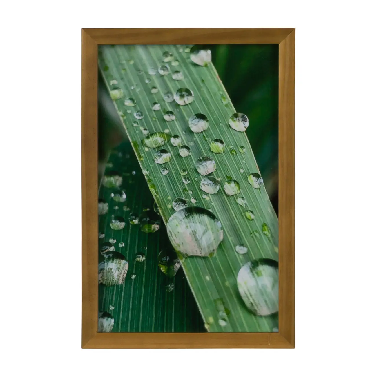 QUADRO HORTA FELIZ 20 CM X 30 CM - AMÊNDOA/MULTICOR - Foto 1