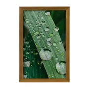 QUADRO HORTA FELIZ 20 CM X 30 CM - AMÊNDOA/MULTICOR - Foto 1