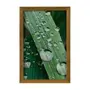 QUADRO HORTA FELIZ 20 CM X 30 CM - AMÊNDOA/MULTICOR - Foto 1