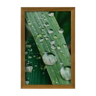 QUADRO HORTA FELIZ 20 CM X 30 CM