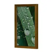 QUADRO HORTA FELIZ 20 CM X 30 CM - AMÊNDOA/MULTICOR - Foto 2