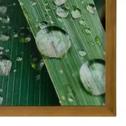 QUADRO HORTA FELIZ 20 CM X 30 CM - AMÊNDOA/MULTICOR - Foto 3