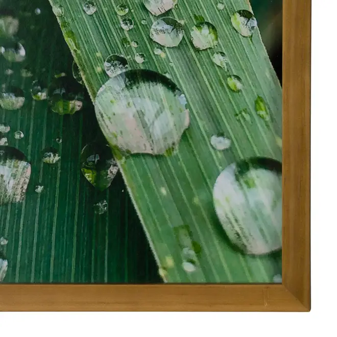 QUADRO HORTA FELIZ 20 CM X 30 CM - AMÊNDOA/MULTICOR - Foto 3