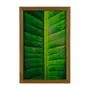QUADRO FOLHA INTERIOR 20 CM X 30 CM - AMÊNDOA/MULTICOR - Foto 1